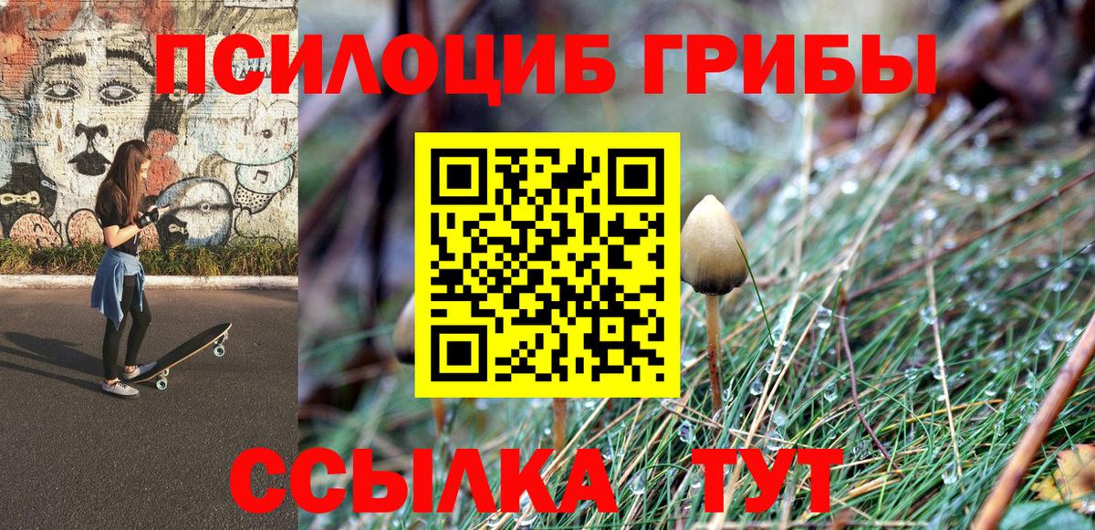 Галлюциногенные грибы Cubensis Копейск